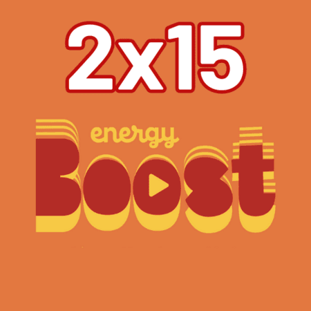 2 sachets de 15 sticks (30 sticks) / 44€ le sachet BOOST
