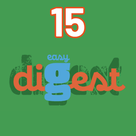 Sachet de 15 sticks DIGEST